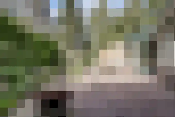 Verdistraat 18 Gouda thumbnail 4