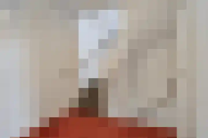 Verdistraat 18 Oss thumbnail 15