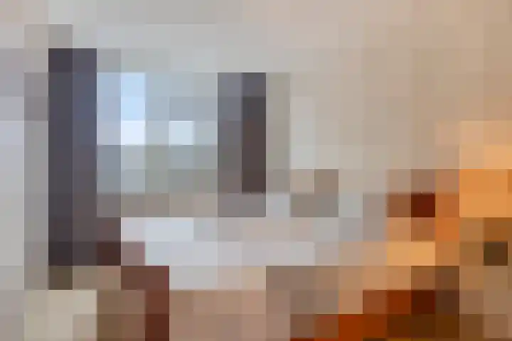 Verdistraat 18 Oss thumbnail 16
