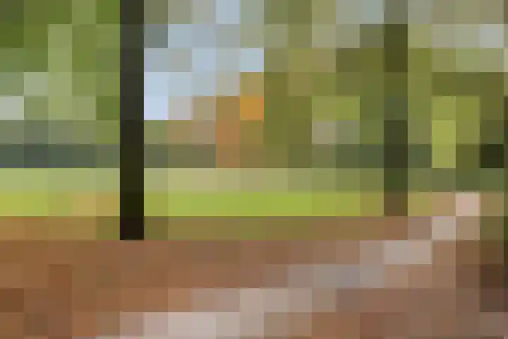 Verdistraat 18 Oss thumbnail 32