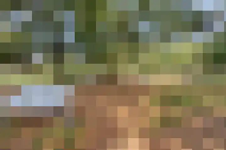 Verdistraat 18 Oss thumbnail 34