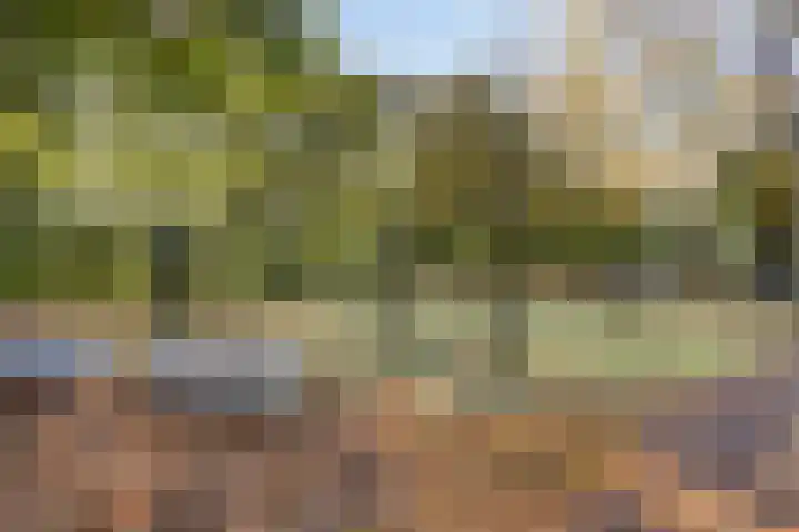 Verdistraat 18 Oss thumbnail 37
