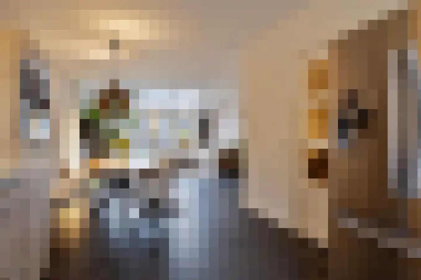 Verdistraat 187 Bunschoten-Spakenburg thumbnail 13