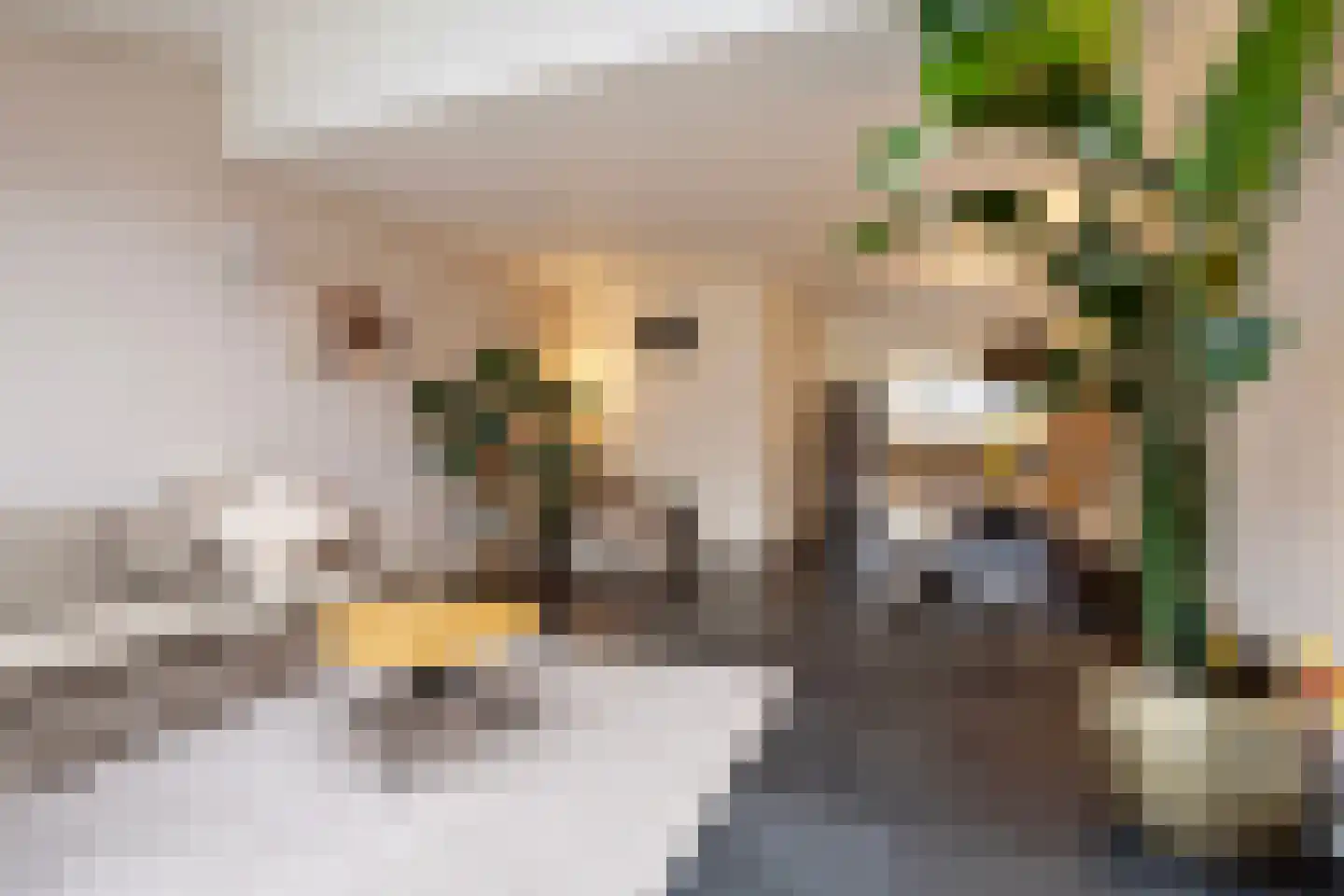Verdistraat 187 Bunschoten-Spakenburg thumbnail 7