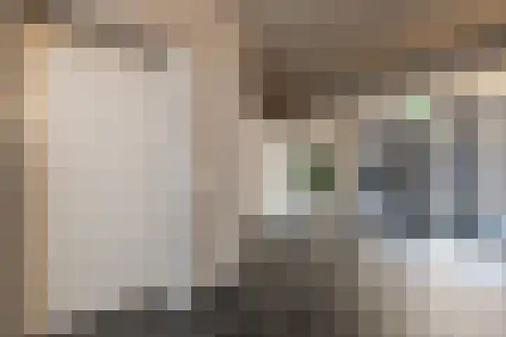 Verdistraat 20 Assen thumbnail 6