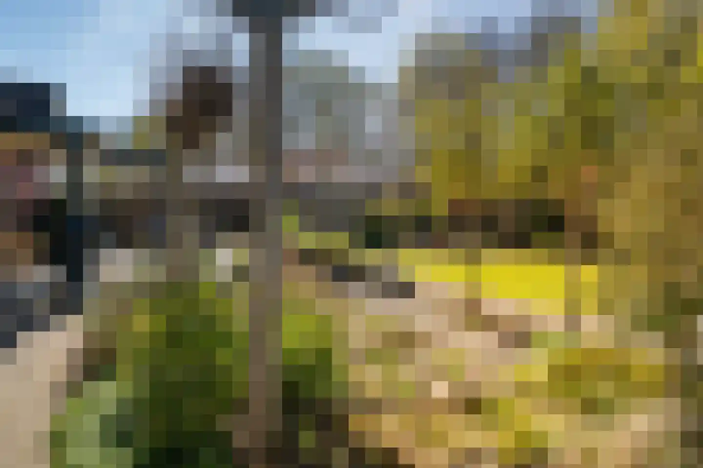 Verdistraat 20 Twello thumbnail 47