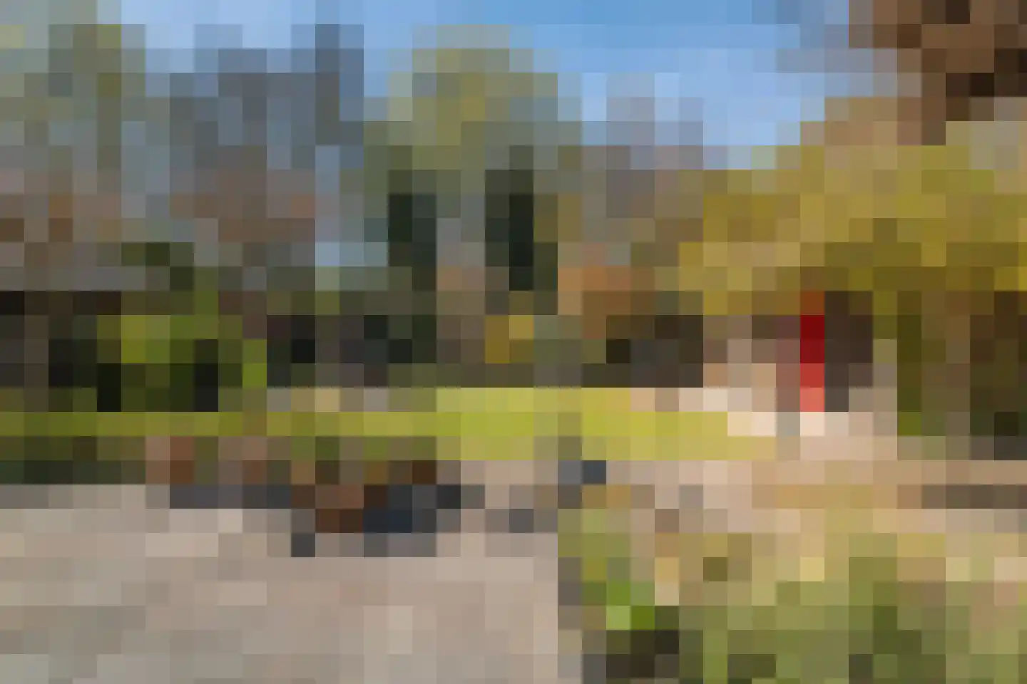 Verdistraat 20 Twello thumbnail 48