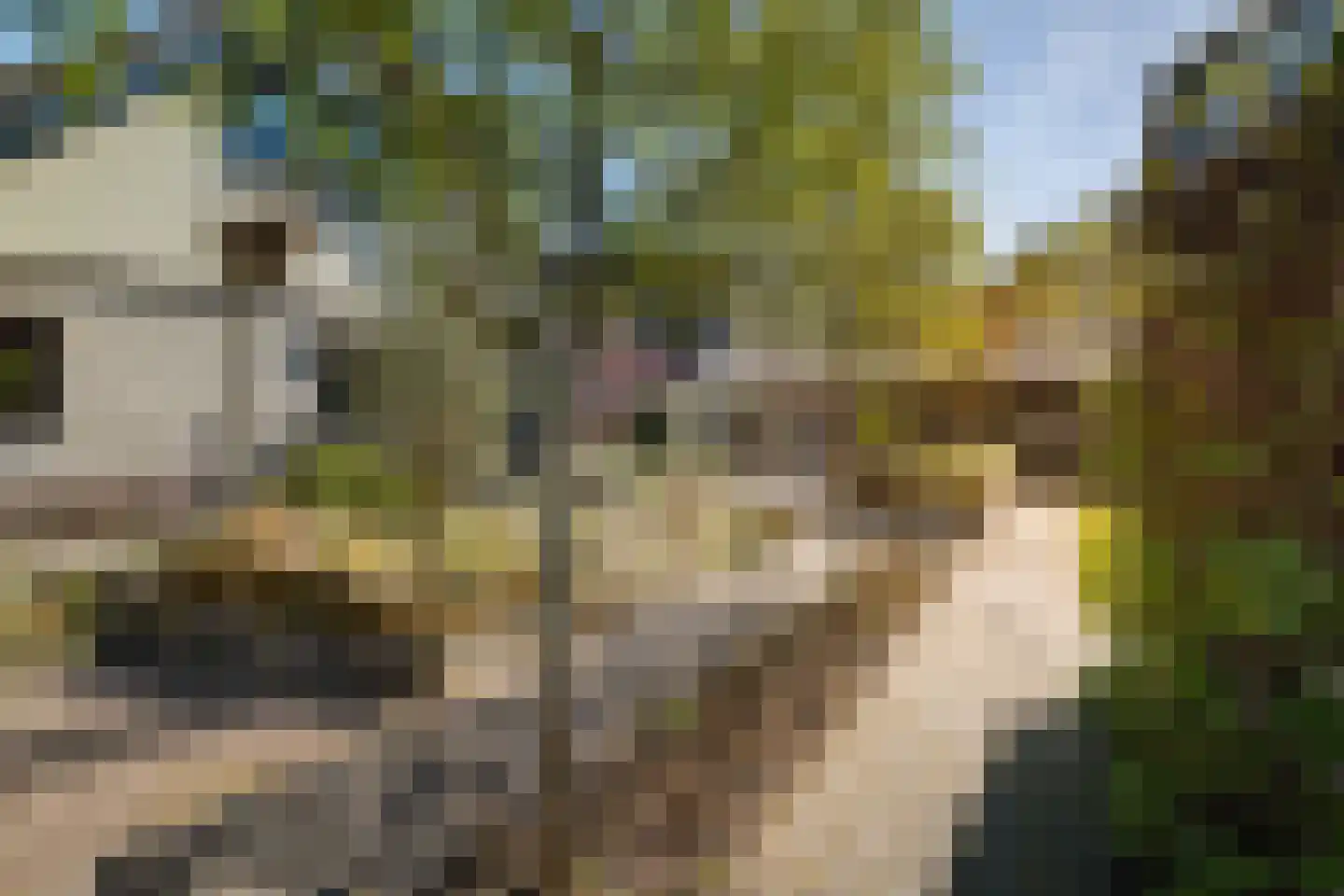 Verdistraat 20 Twello thumbnail 52