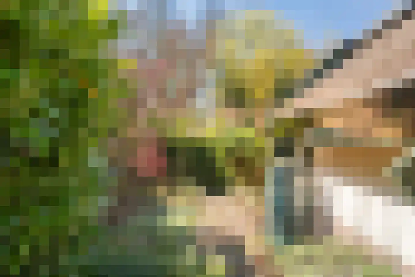 Verdistraat 20 Twello thumbnail 59