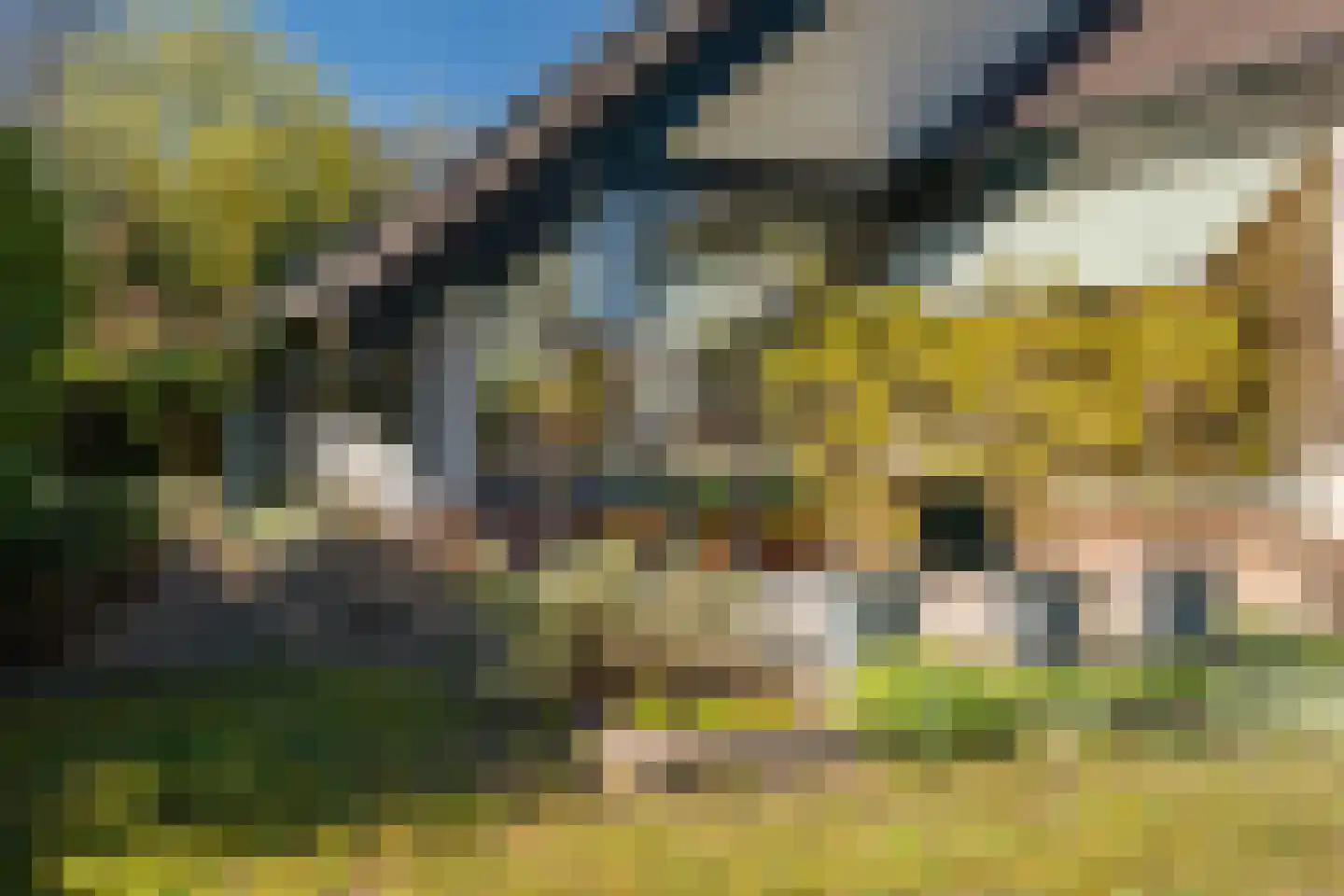 Verdistraat 20 Twello thumbnail 61