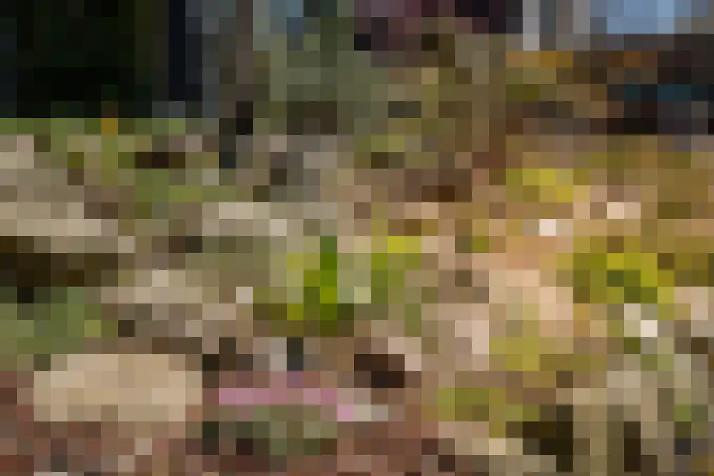 Verdistraat 20 Twello thumbnail 63