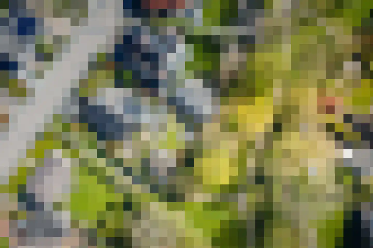 Verdistraat 20 Twello thumbnail 67