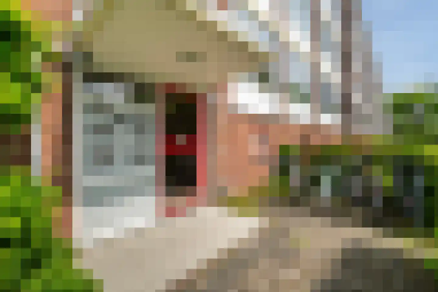 Verdistraat 203 Leiden thumbnail 17
