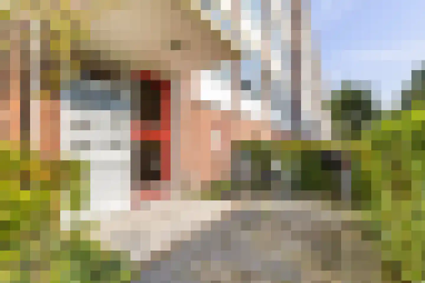 Verdistraat 207 Leiden thumbnail 7