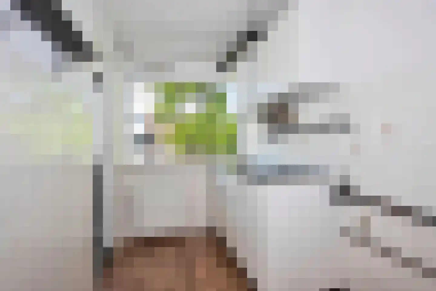 Verdistraat 21 Hengelo thumbnail 12