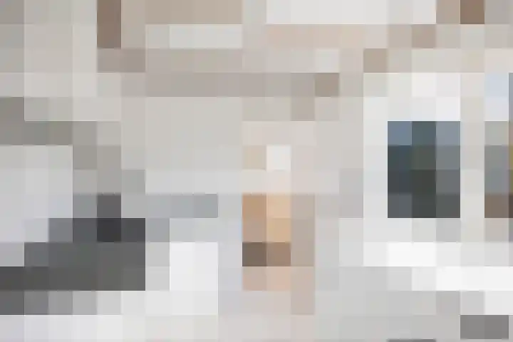 Verdistraat 21 Twello thumbnail 18