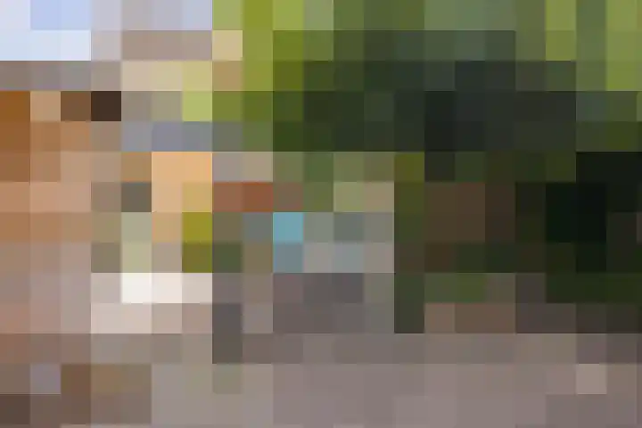 Verdistraat 21 Twello thumbnail 32