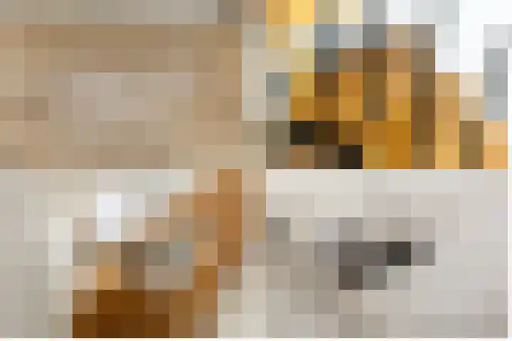 Verdistraat 24 Drunen thumbnail 12