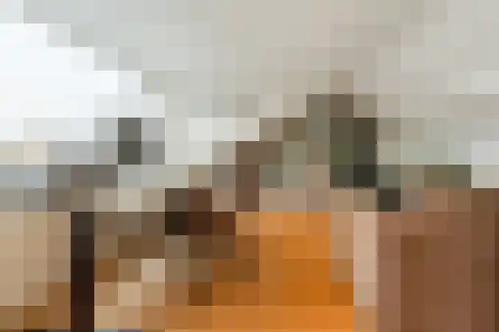 Verdistraat 24 Drunen thumbnail 26