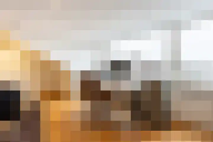Verdistraat 24 Drunen thumbnail 27