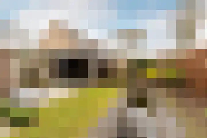Verdistraat 24 Drunen thumbnail 29