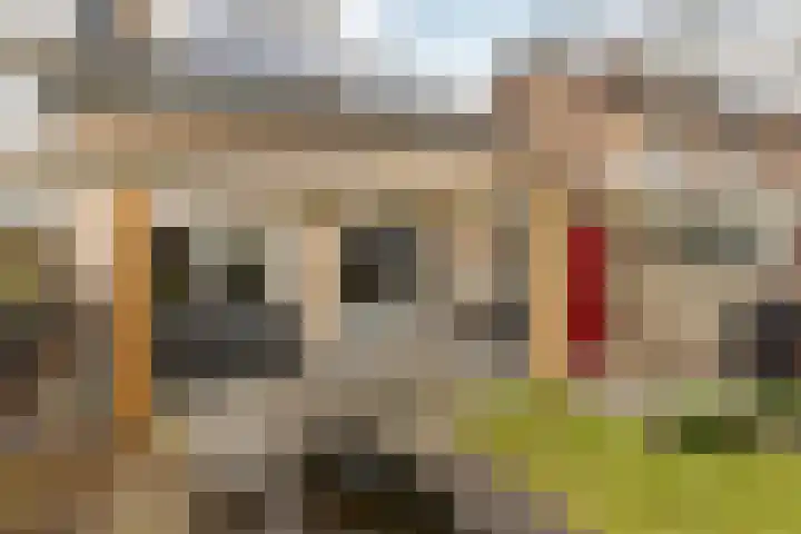 Verdistraat 24 Drunen thumbnail 36