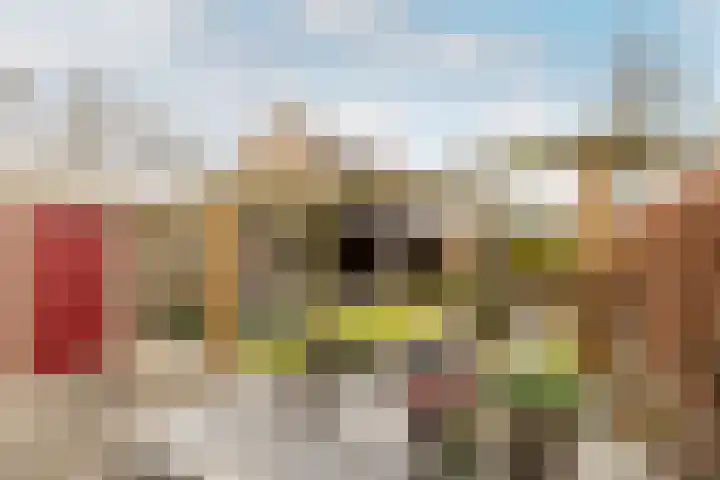 Verdistraat 24 Drunen thumbnail 38
