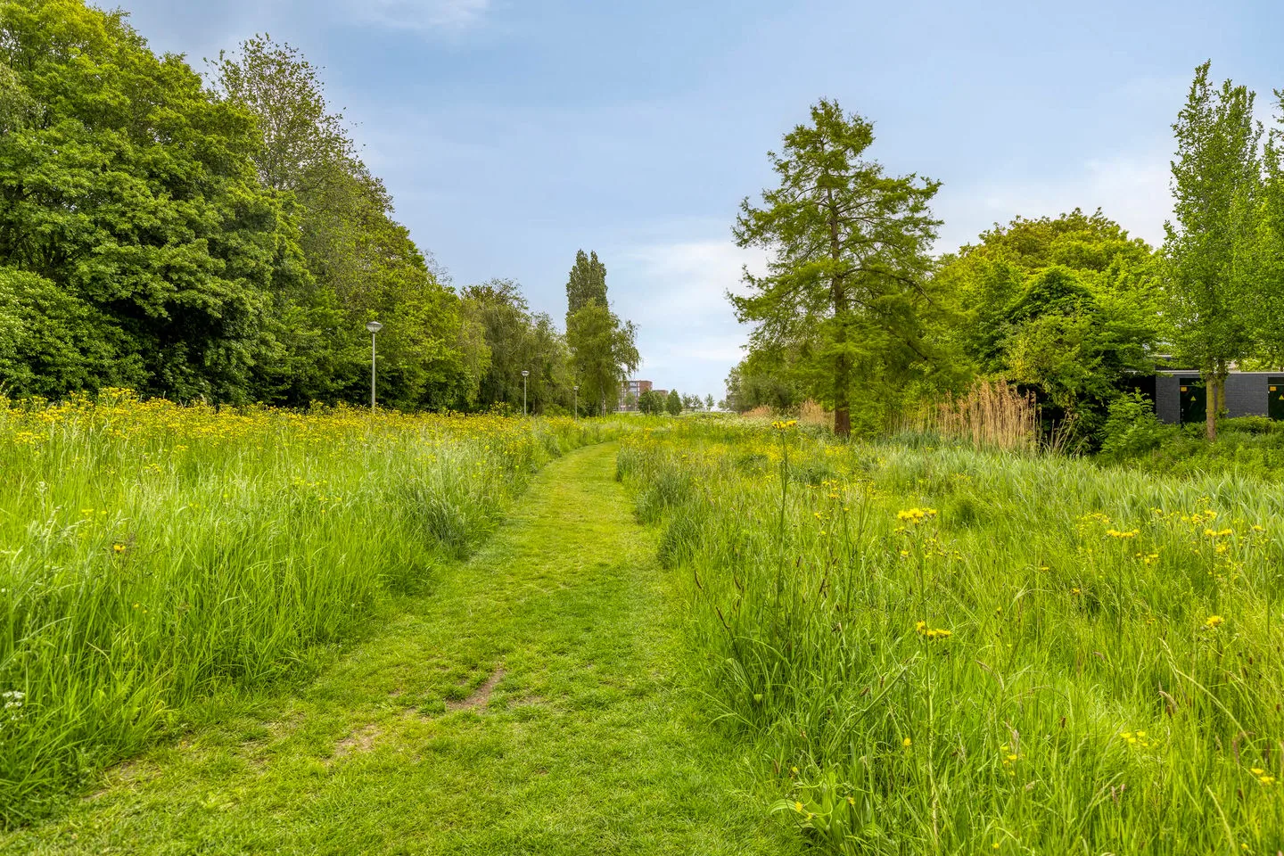 Verdistraat 26 Berkel en Rodenrijs thumbnail 36
