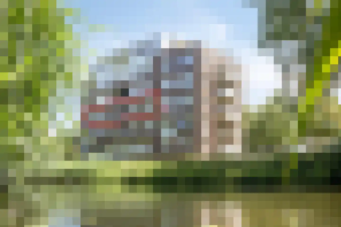 Verdistraat 267 Zutphen thumbnail 44