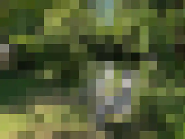 Verdistraat 28 Twello thumbnail 32