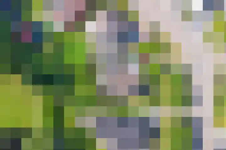 Verdistraat 28 Twello thumbnail 33