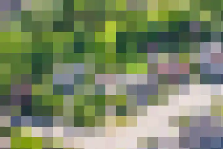 Verdistraat 28 Twello thumbnail 34