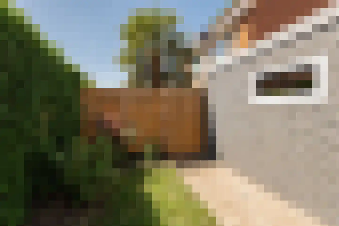 Verdistraat 3 Culemborg thumbnail 14