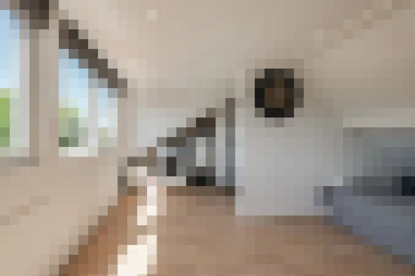 Verdistraat 3 Culemborg thumbnail 31
