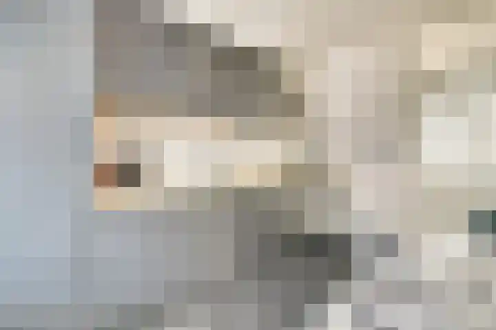 Verdistraat 3 Dongen thumbnail 14