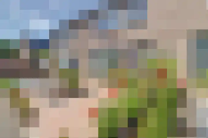 Verdistraat 3 Dongen thumbnail 38