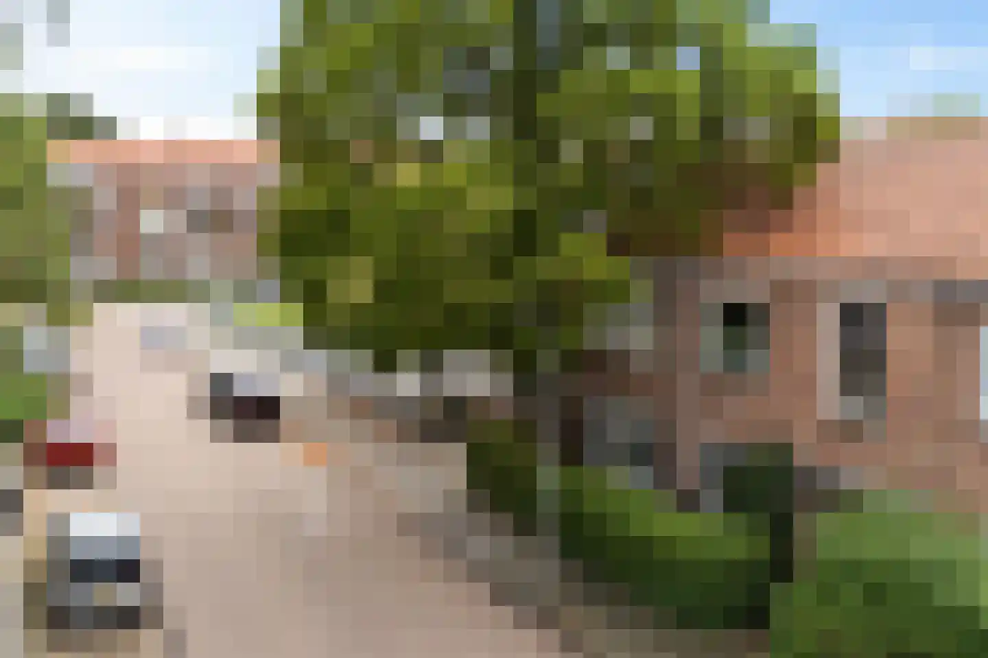 Verdistraat 3 Leeuwarden thumbnail 42