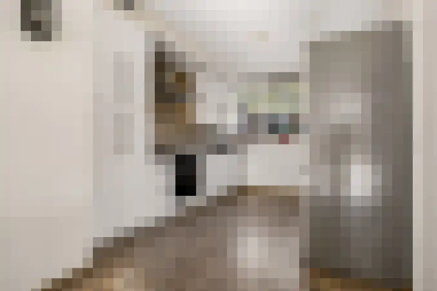 Verdistraat 30 Oss thumbnail 15