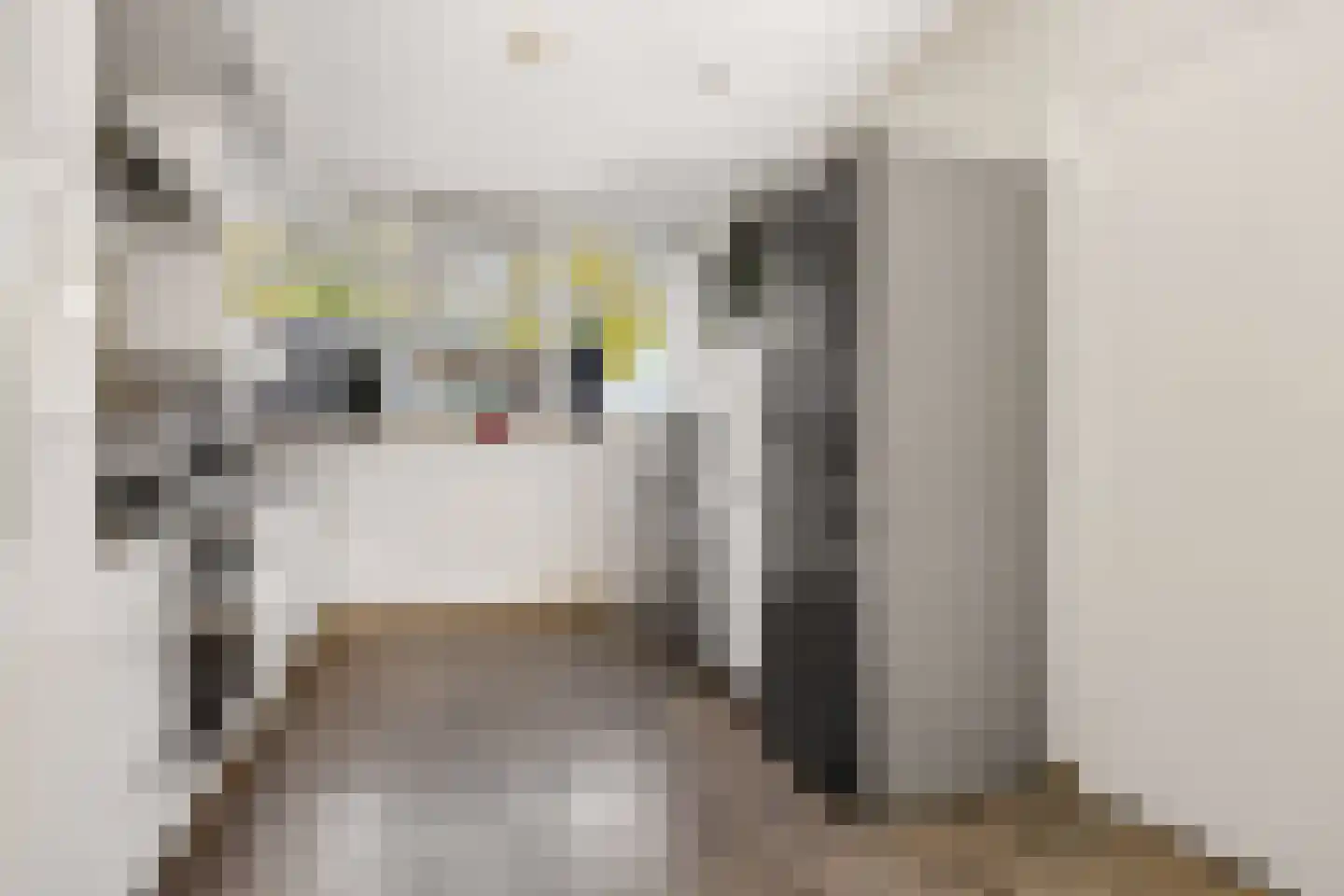 Verdistraat 30 Oss thumbnail 16