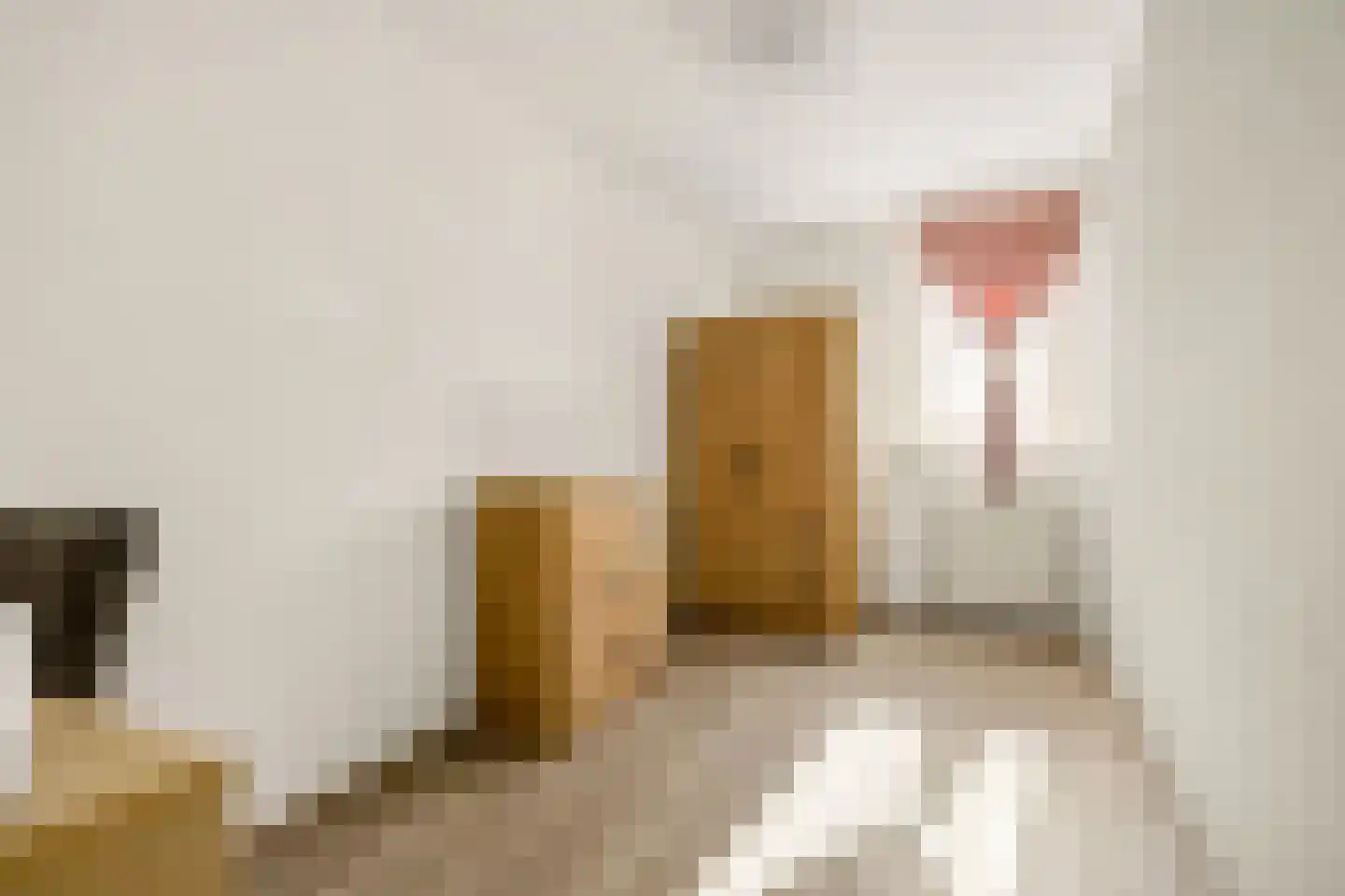 Verdistraat 30 Oss thumbnail 21