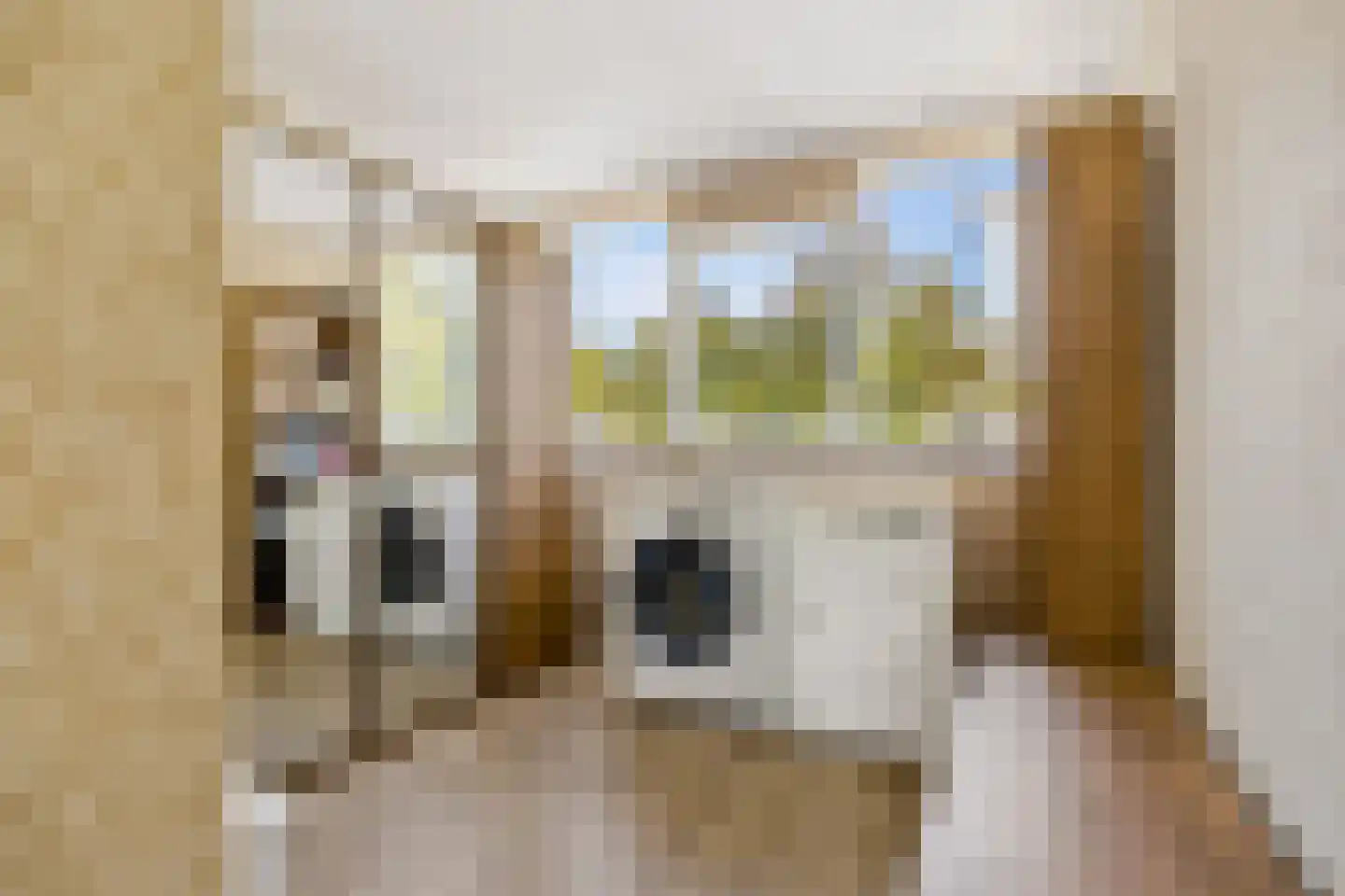 Verdistraat 30 Oss thumbnail 25