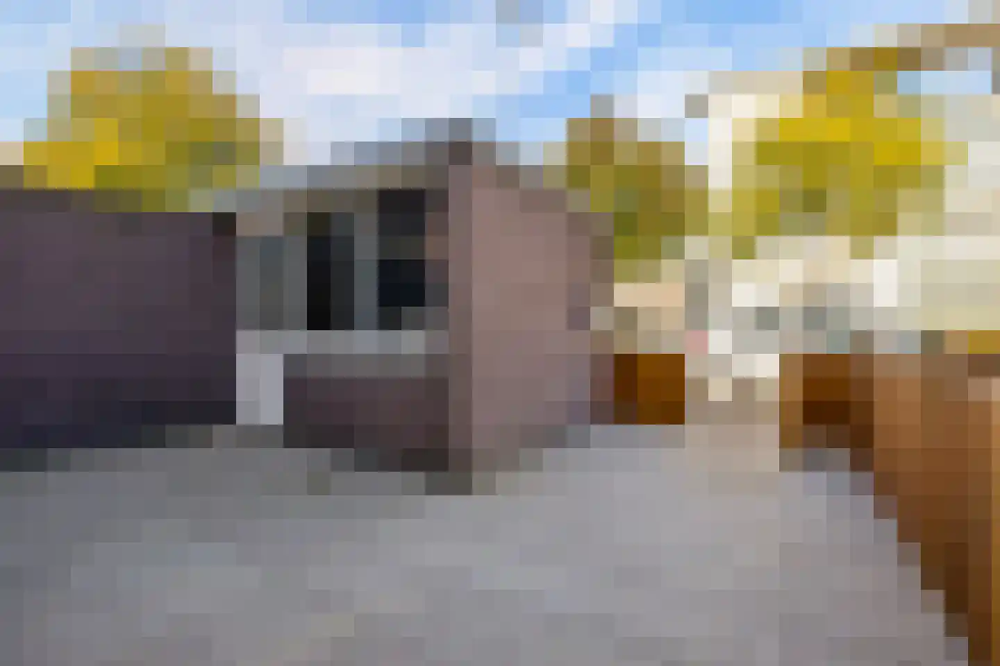 Verdistraat 30 Oss thumbnail 34