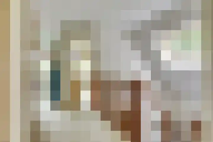Verdistraat 32 Twello thumbnail 17