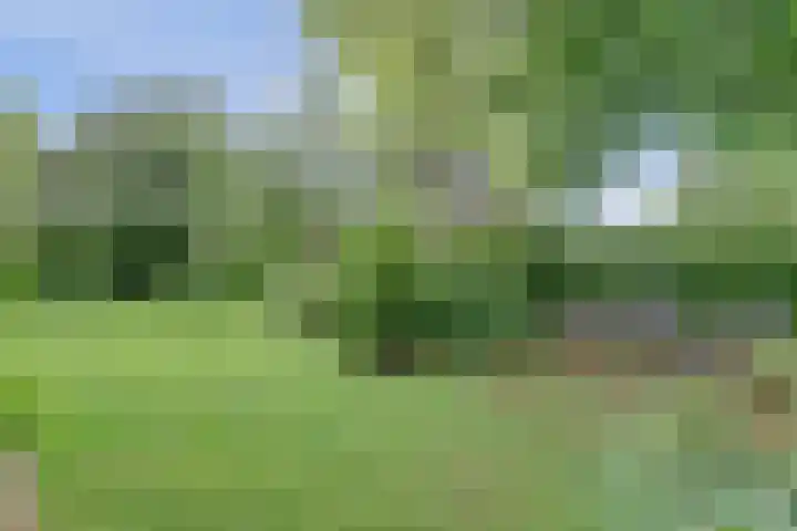 Verdistraat 32 Twello thumbnail 31