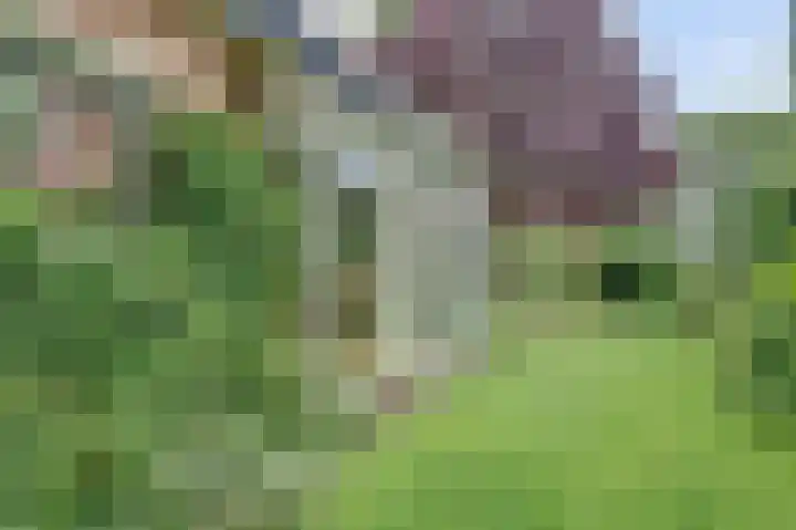 Verdistraat 32 Twello thumbnail 32