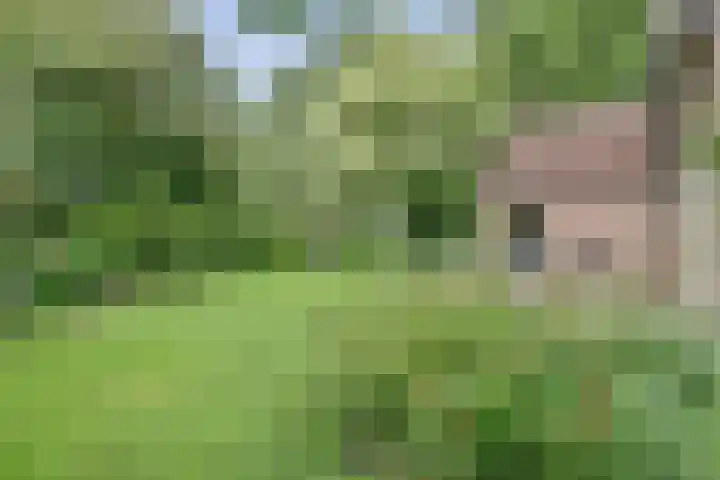 Verdistraat 32 Twello thumbnail 33