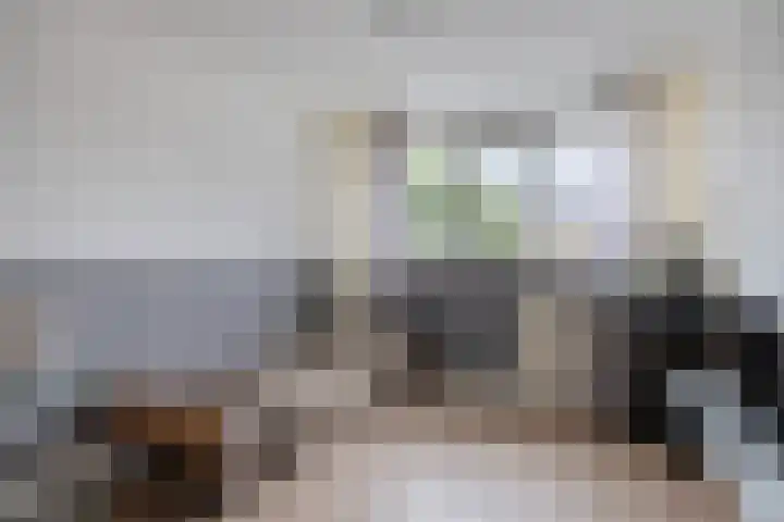 Verdistraat 360 Oss thumbnail 11