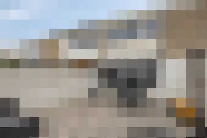 Verdistraat 360 Oss thumbnail 16