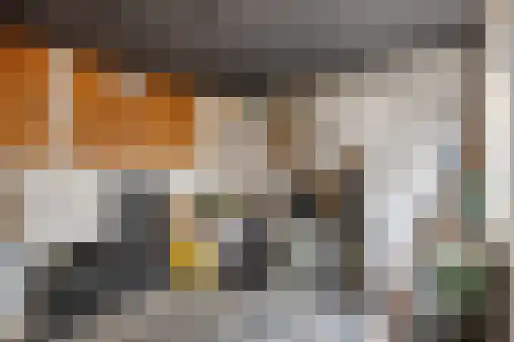 Verdistraat 360 Oss thumbnail 18