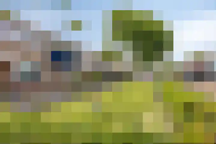 Verdistraat 360 Oss thumbnail 22